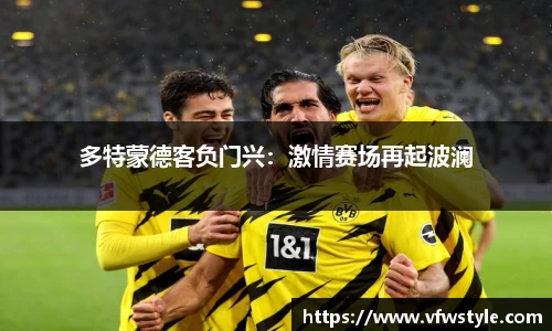 多特蒙德客负门兴：激情赛场再起波澜