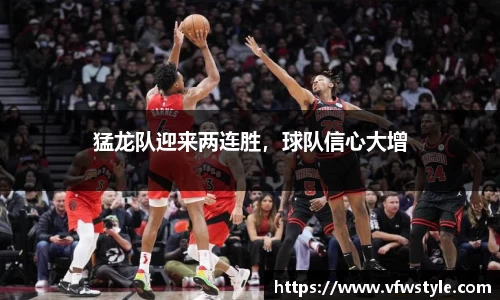 NG体育官网