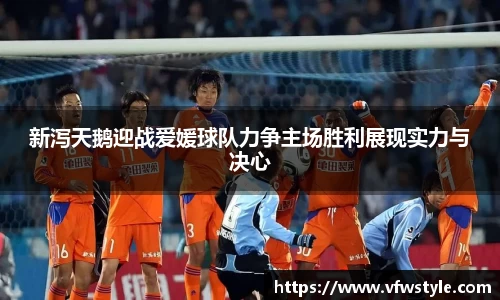 NG体育官网