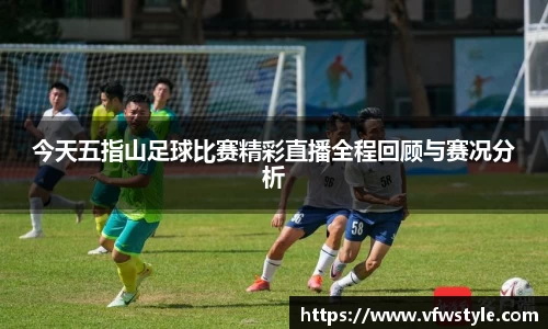 NG体育官网